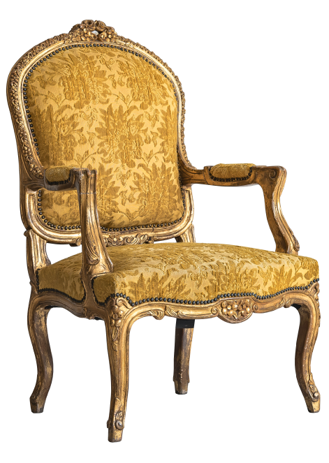 Upholstery Cleaner