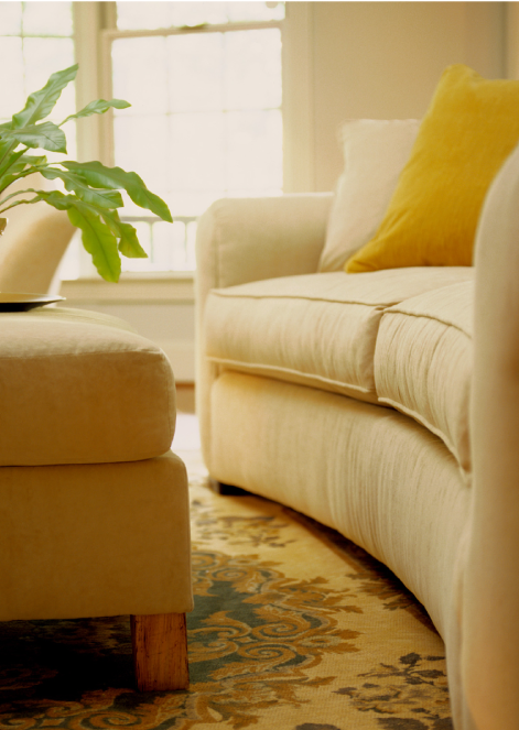 Upholstery Cleaner