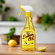 Lemon Oil Wood Polish